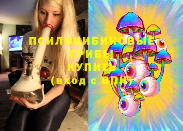 MDMA Premium VHQ Бронницы