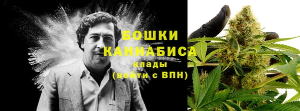 mdma Бородино