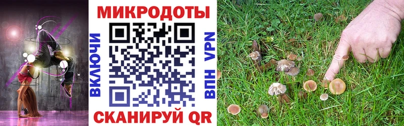 сайты даркнета Telegram  Коломна  Галлюциногенные грибы Psilocybe 